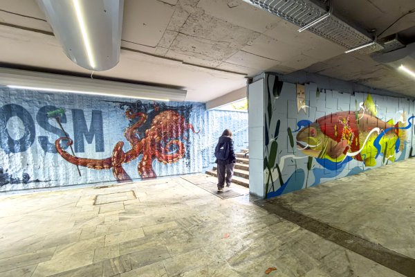 Димитър Кьосемарлиев, Dnes.bg